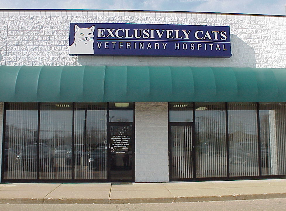 Exclusively Cats Veterinary Hospital Cat Doctors serving the Detroit
